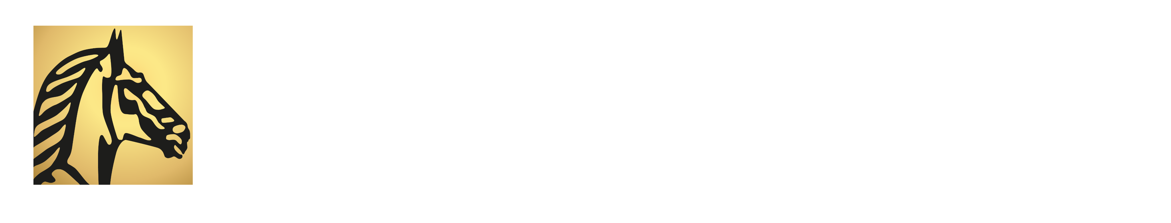 Suisse Capital